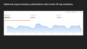 Online-marketing-eredmenyek-21